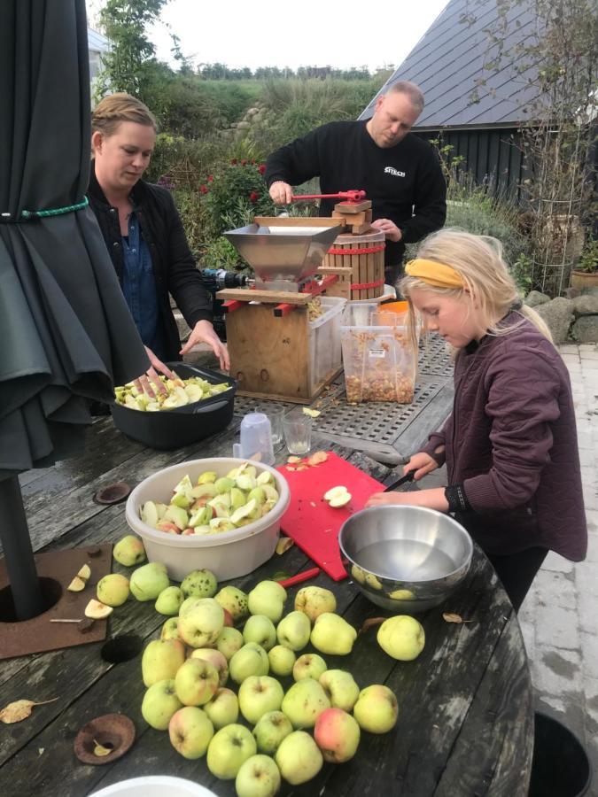 Brorup Kjaersgaard, Hygge, Ro, Natur Og Landliv Skanderborg Zewnętrze zdjęcie
